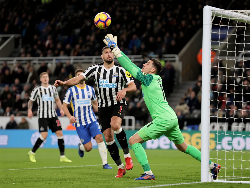 追寻属于自 追寻属于自