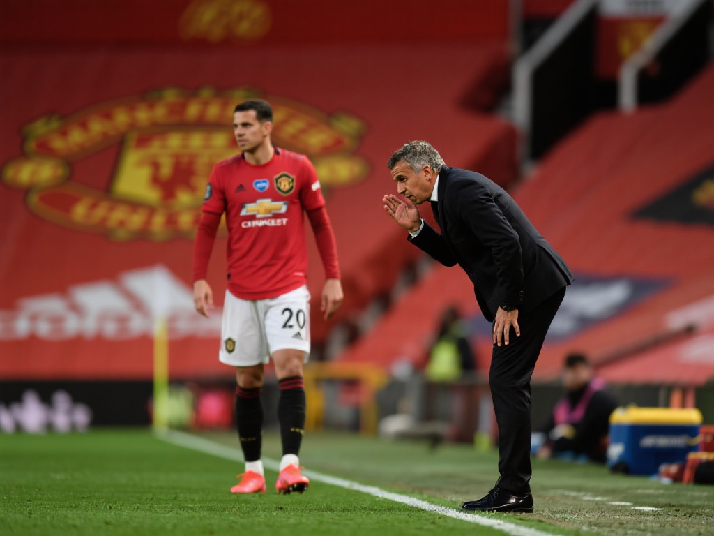 极大地提升 极大地提升