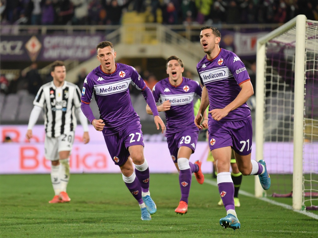 丹麦防线特 丹麦防线特