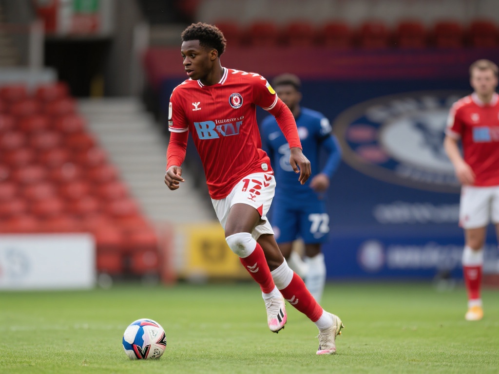 耐心组织 耐心组织